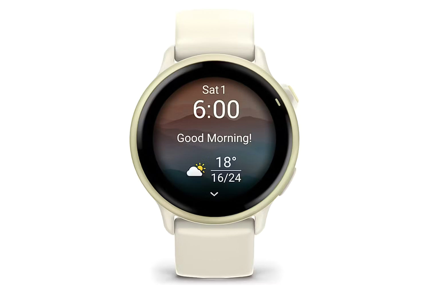 Garmin Vivoactive 6 | Bone-2