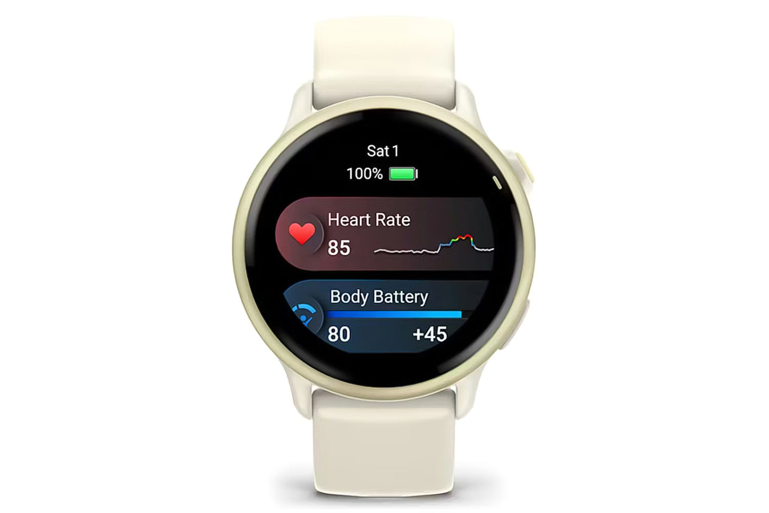 Garmin Vivoactive 6 | Bone-3