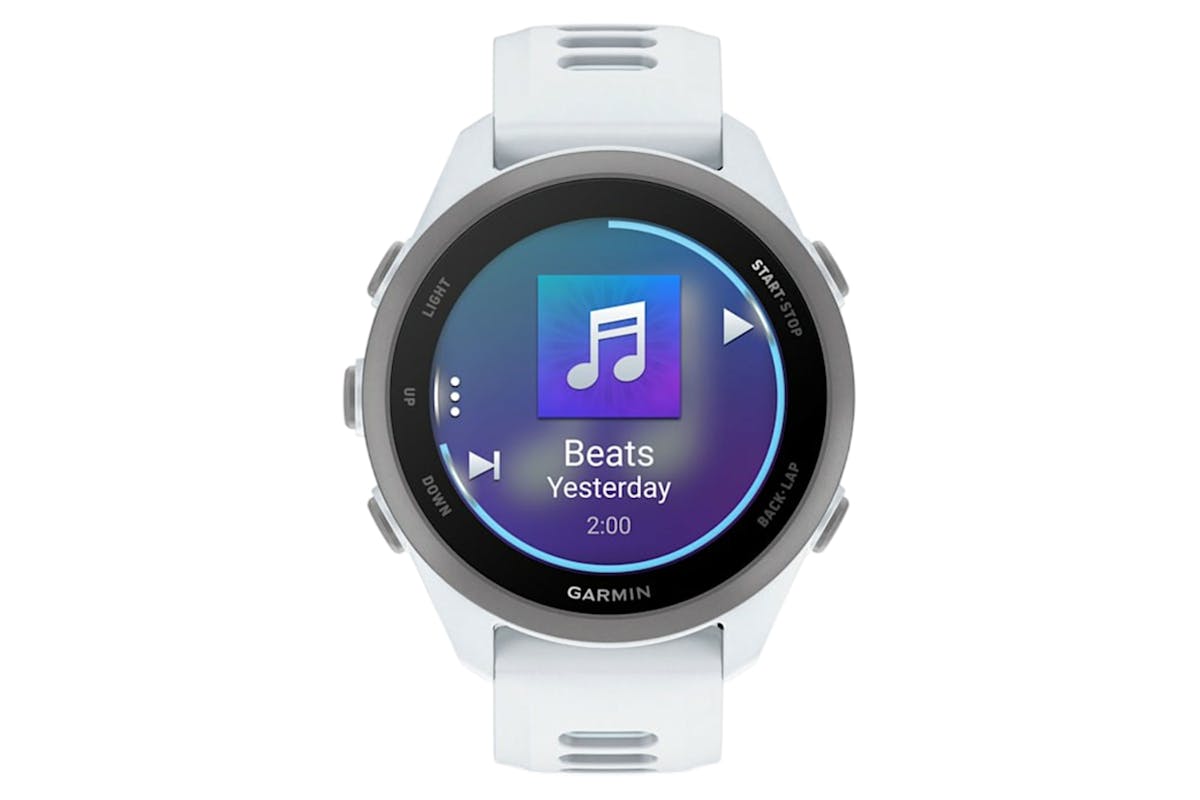 Garmin Forerunner 170 Music | 42.6 mm | Whitestone/Cloud Blue Band-2