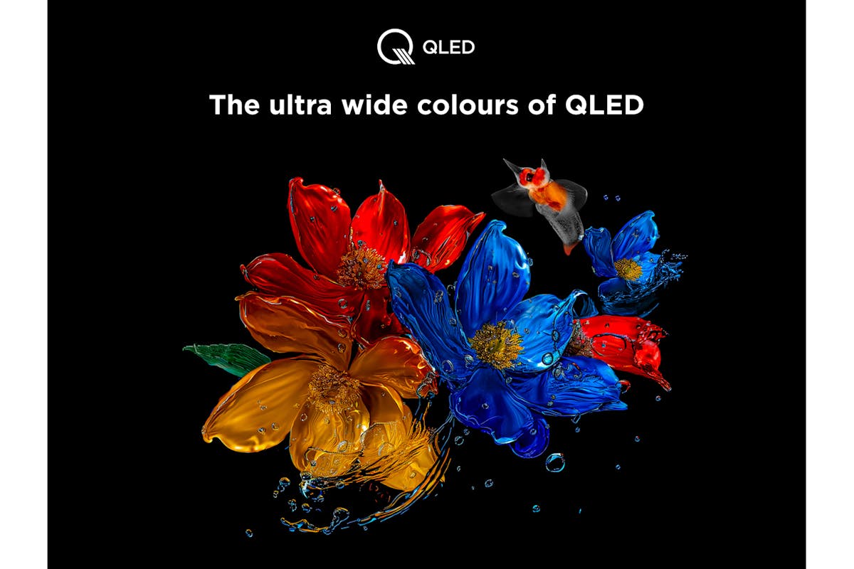 TCL 65'' QLED 4K HDR Smart TV | 65T8C-7