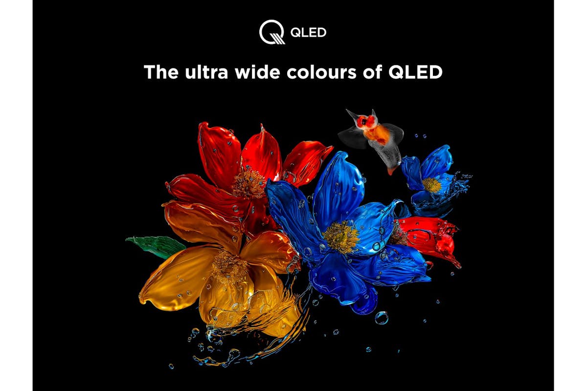 TCL 75'' QLED 4K HDR Smart TV | 75T8C-6