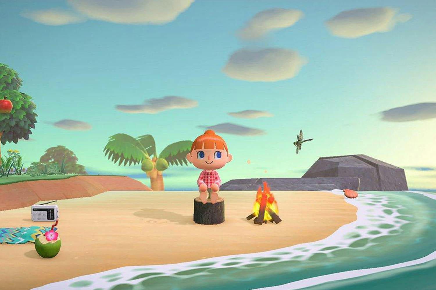 Animal Crosssing New Horizons | Nintendo Switch-4