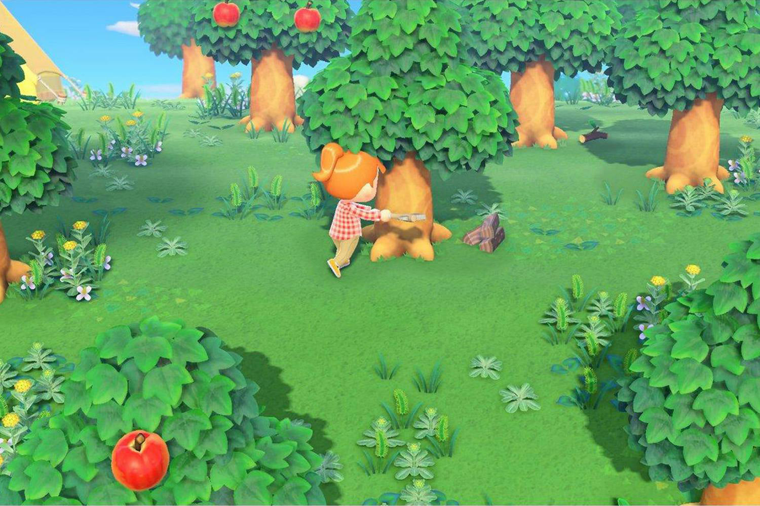 Animal Crosssing New Horizons | Nintendo Switch-3