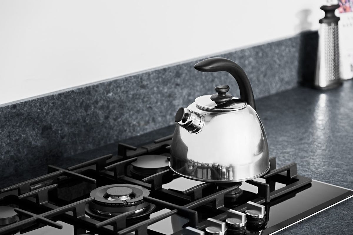 Berghoff Lucia Whistling Kettle | Stainless Steel | 2.5 Litre-2