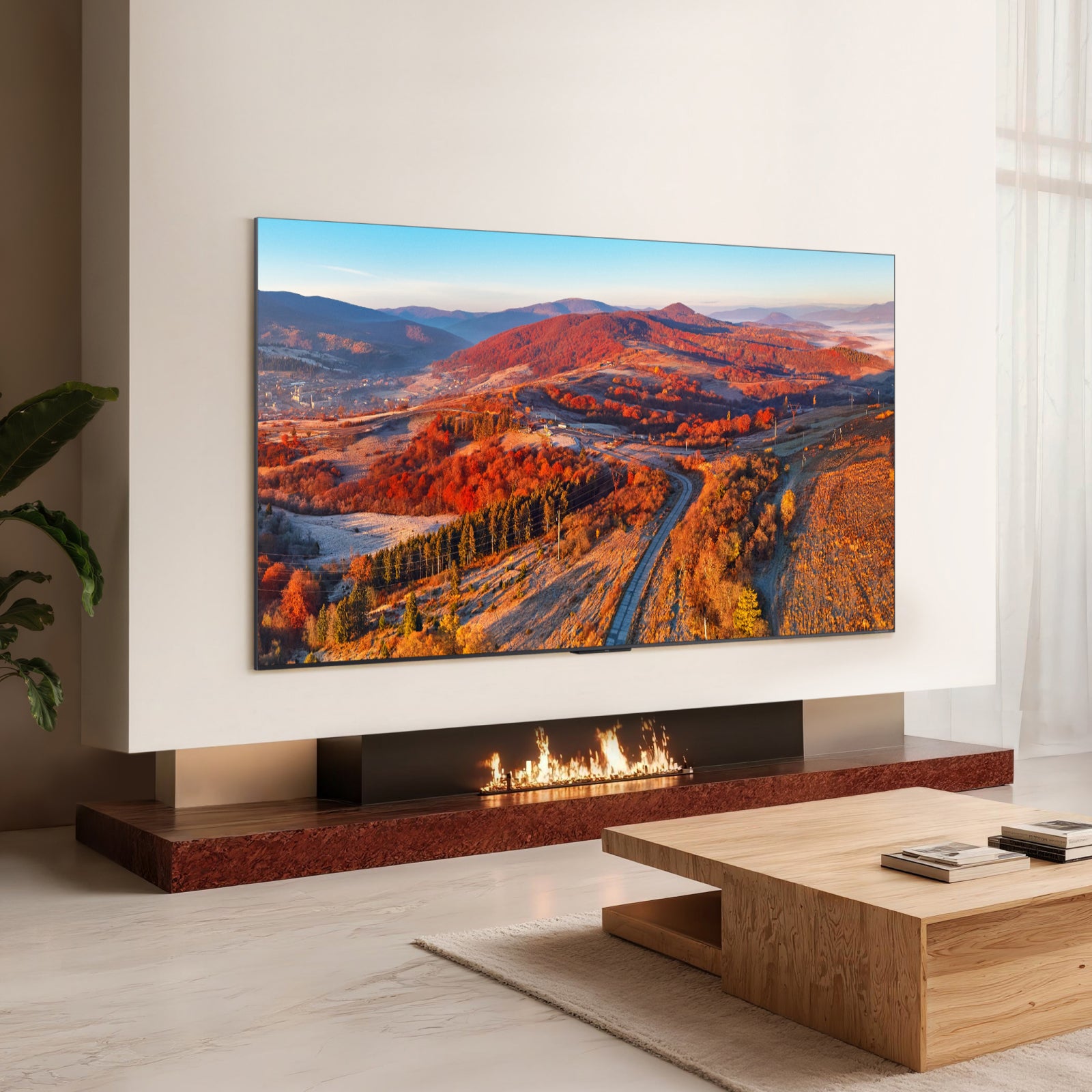 TCL C8L 55" SQD-Mini LED TV (2026) | 55C8L-15
