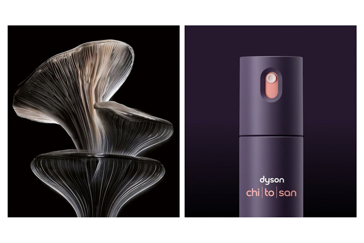Dyson Chitosan Mini Multi-use Styling Spray | 127312-01-7