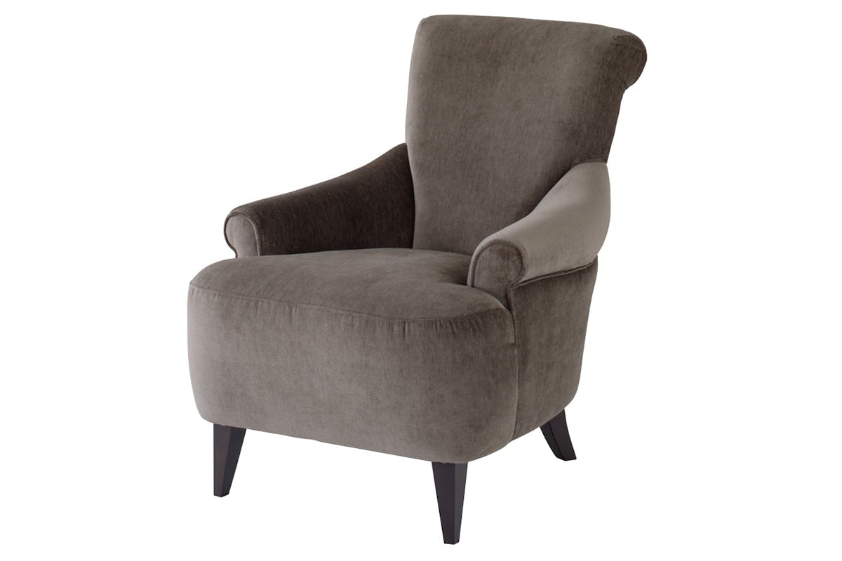 Carey Accent Chair | Fabric | Sage-2