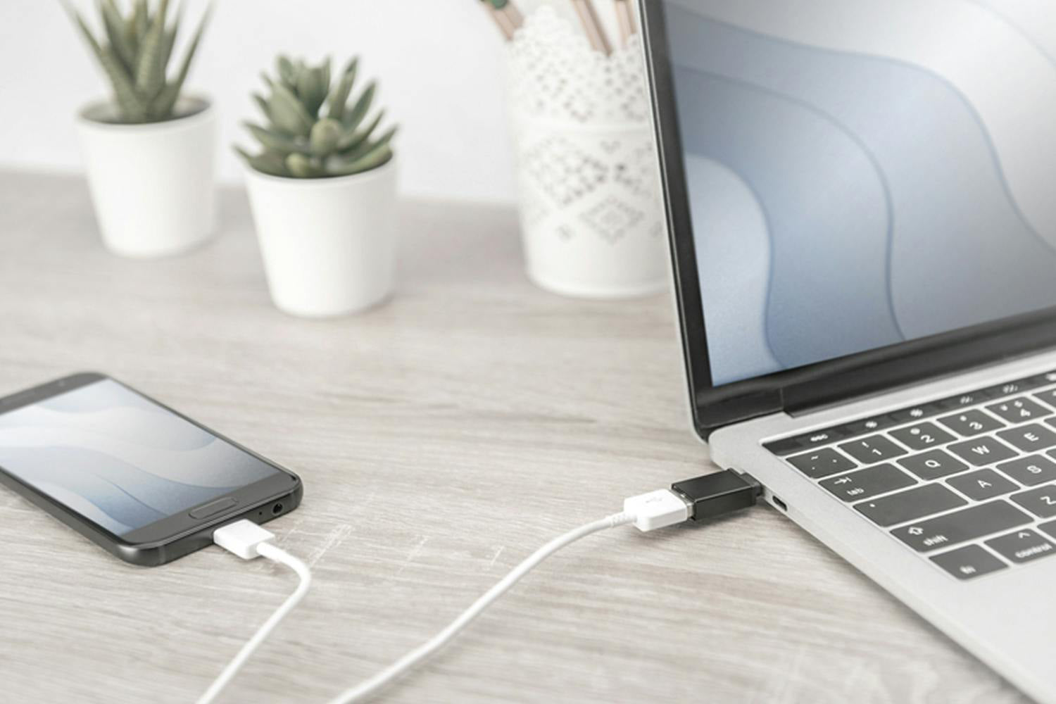 Digitus USB Type-C to Type-A Adaptor-2