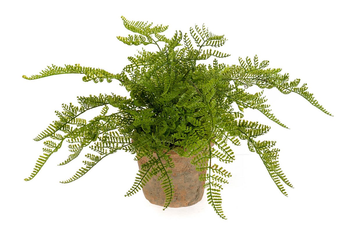 Artificial Fern Forest Bush in Terracotta Pot | 23 cm