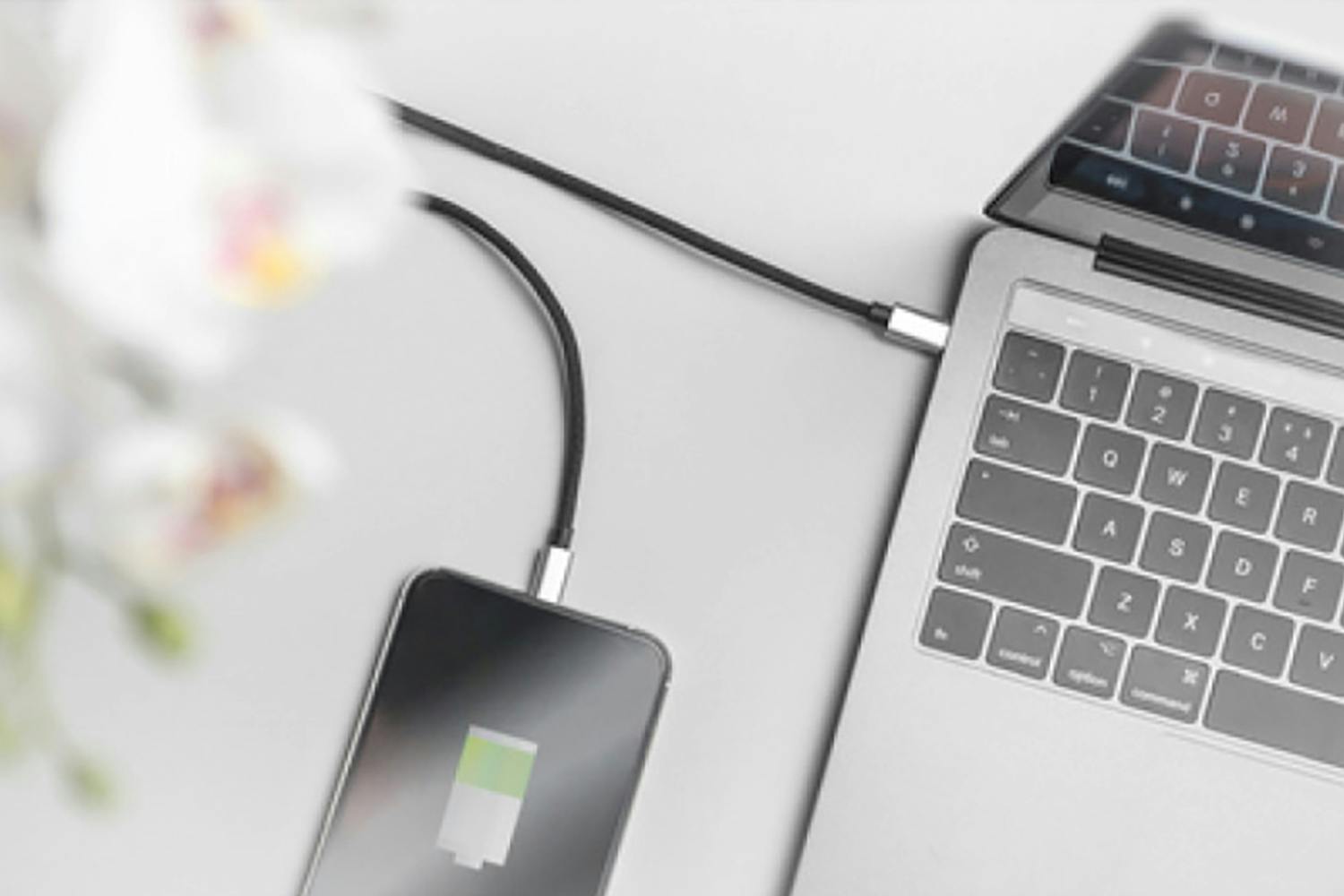 Digitus Lightning to USB-C Data and Charging Cable | 1m | Set of 2-5