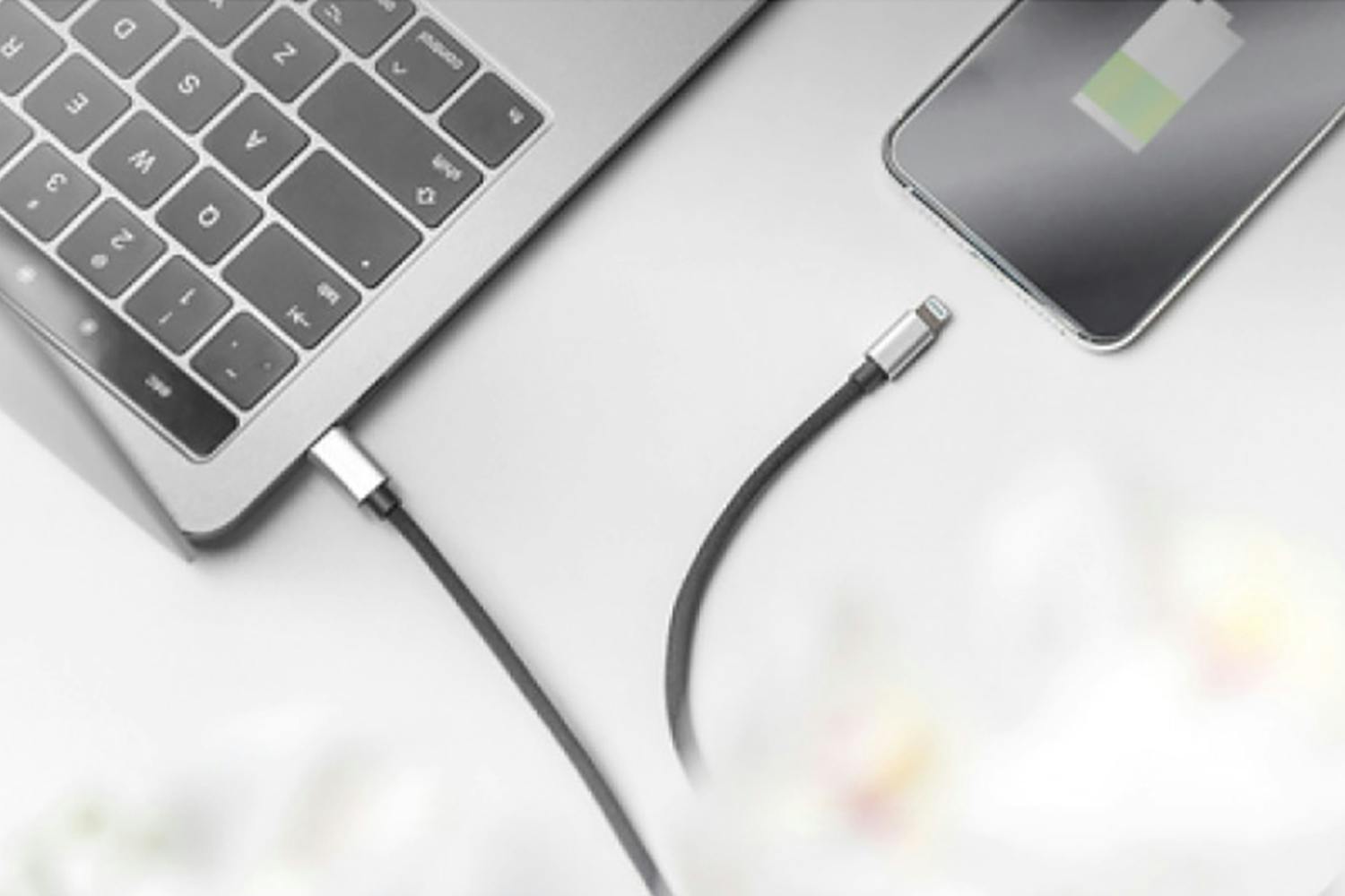 Digitus Lightning to USB-C Data and Charging Cable | 1m | Set of 2-6