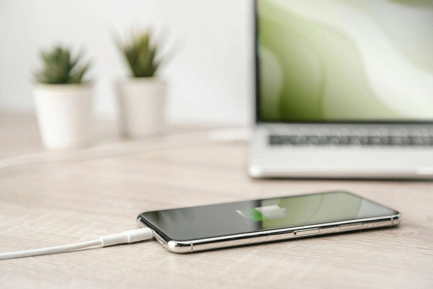 Digitus USB-C to Lightning Cable | 1m-2