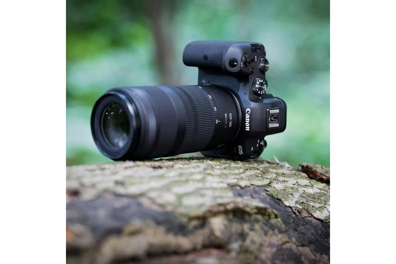 Canon RF 100-400mm F5.6-8 IS USM Lens-2
