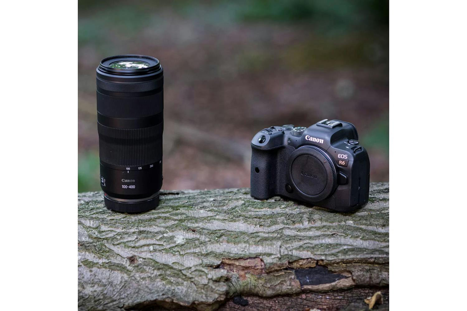 Canon RF 100-400mm F5.6-8 IS USM Lens-9