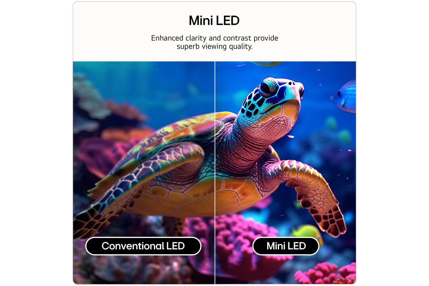 LG QNED72 50" QNED AI Mini LED 4K Smart TV (2026) | 50QNED72B6B.AEI-5