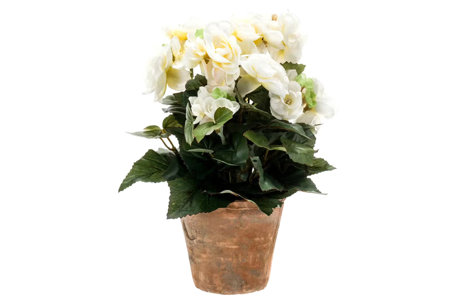 Artificial Begonia Leaves Bush Plant | White | 25 cm