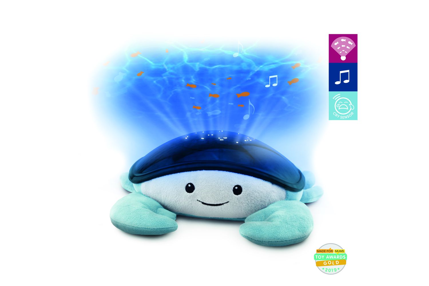 Cody Ocean Projector
