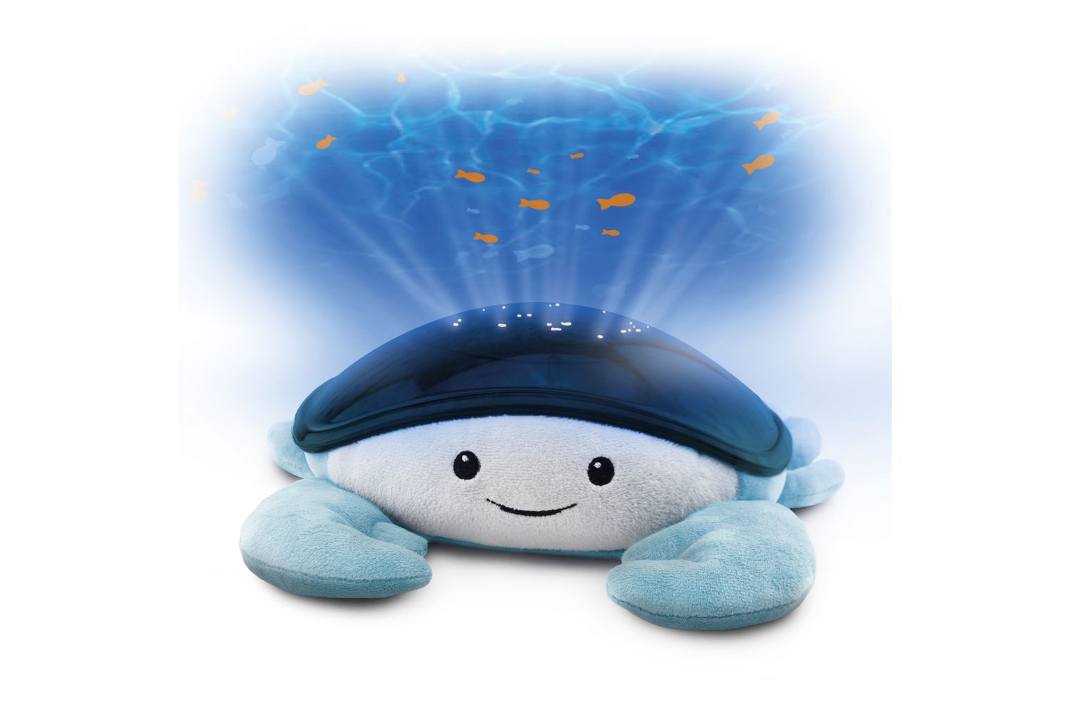 Cody Ocean Projector-4
