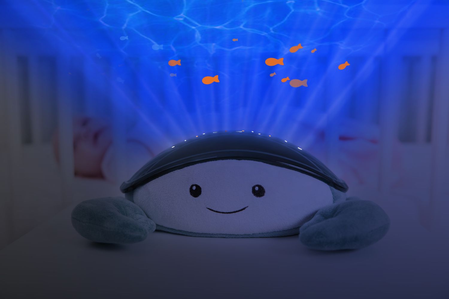 Cody Ocean Projector-6