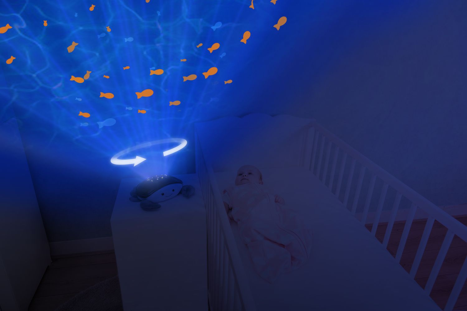Cody Ocean Projector-7
