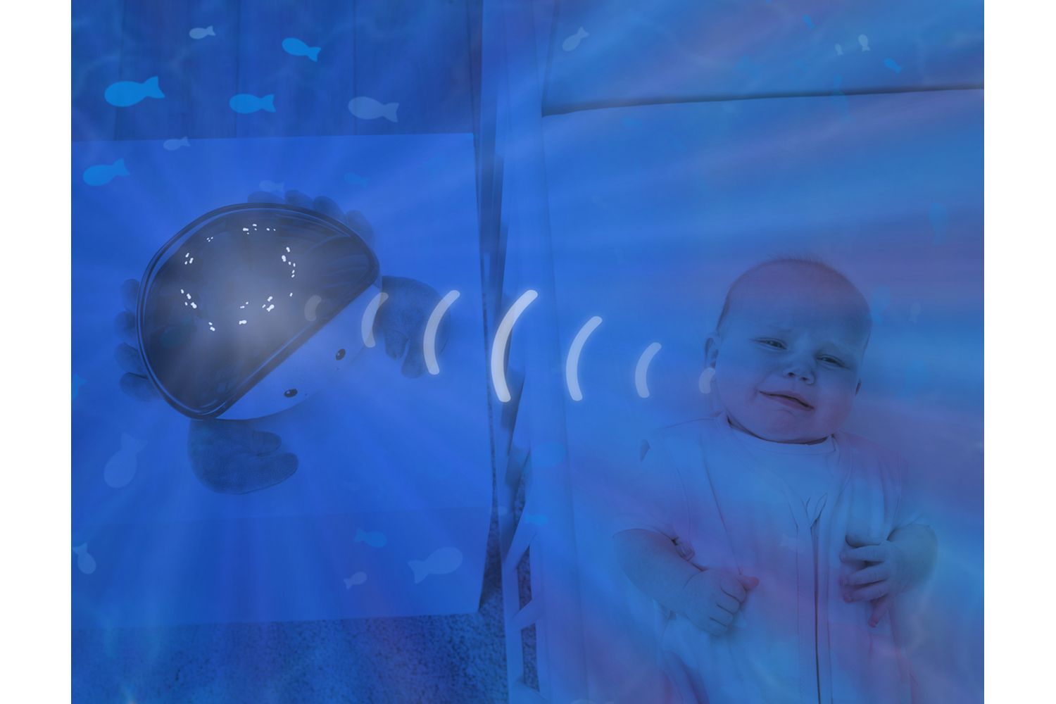 Cody Ocean Projector-9