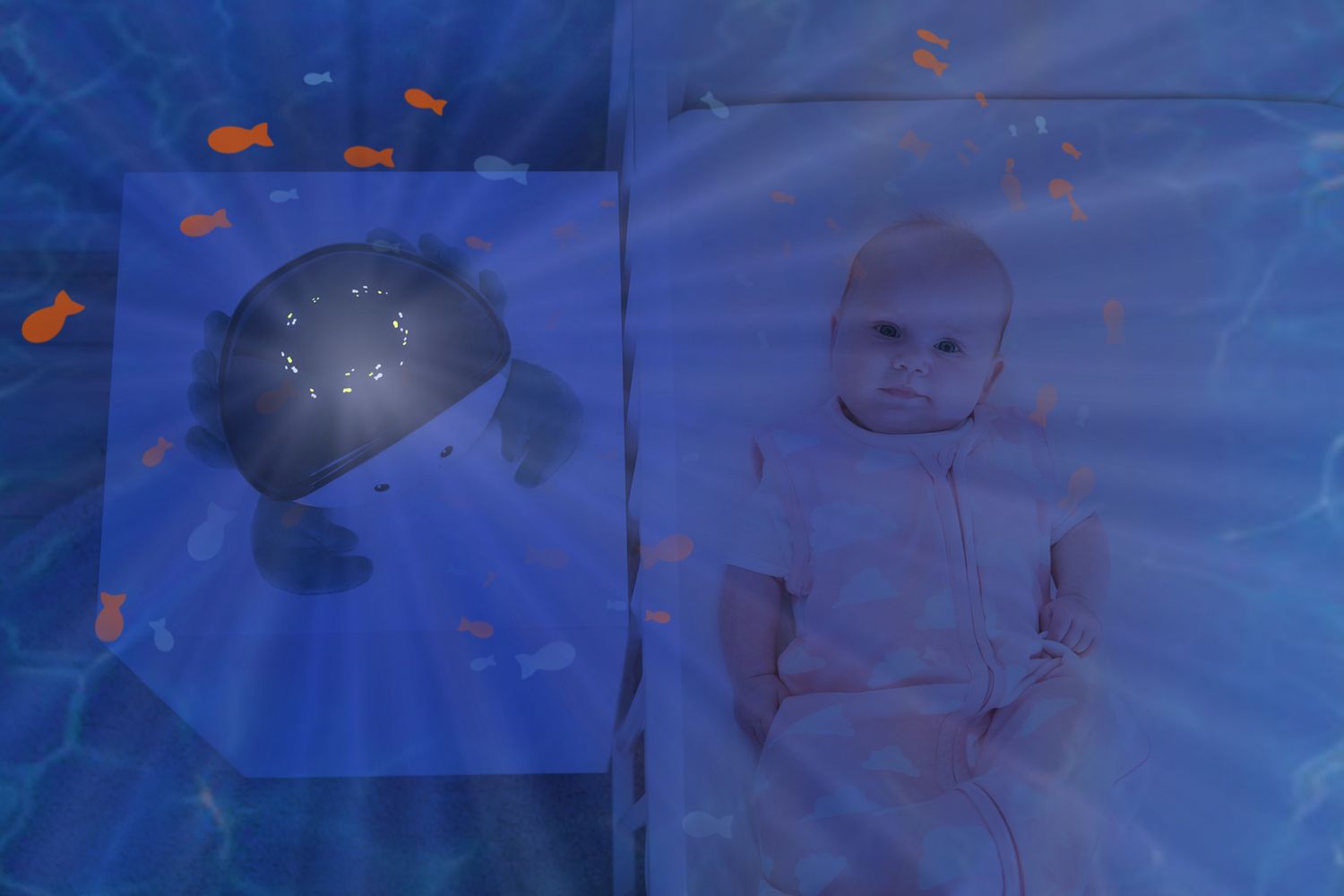 Cody Ocean Projector-10