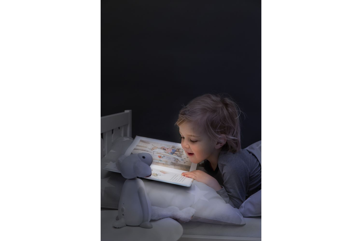 Fin Reading Light Grey-6