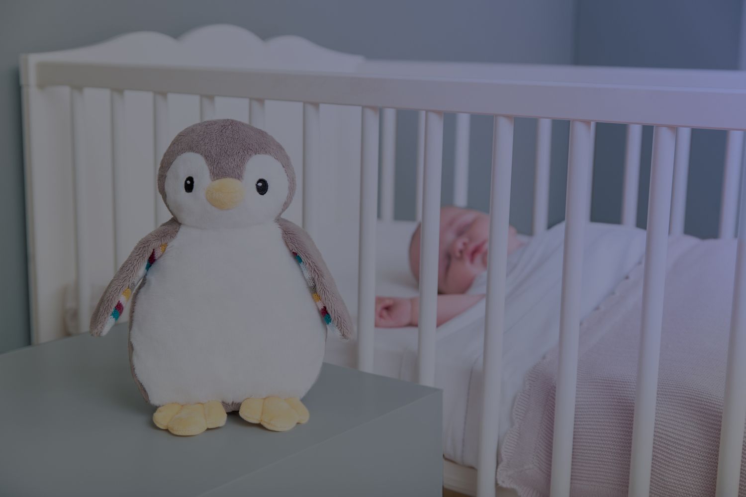 Phoebe Baby Sleep Shusher-2