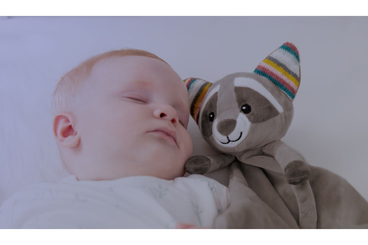 Robin Baby Comforter-4