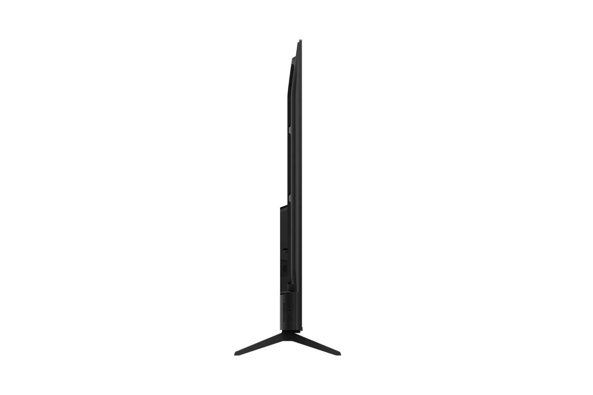 TCL P6L 55" 4K HDR Smart TV (2026) | 55P6L-5