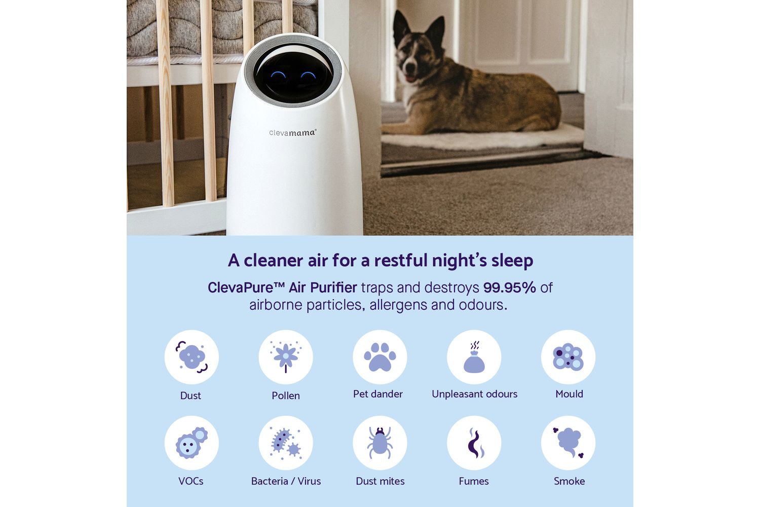 Clevapure Air Purifier - Replacement Filter-4