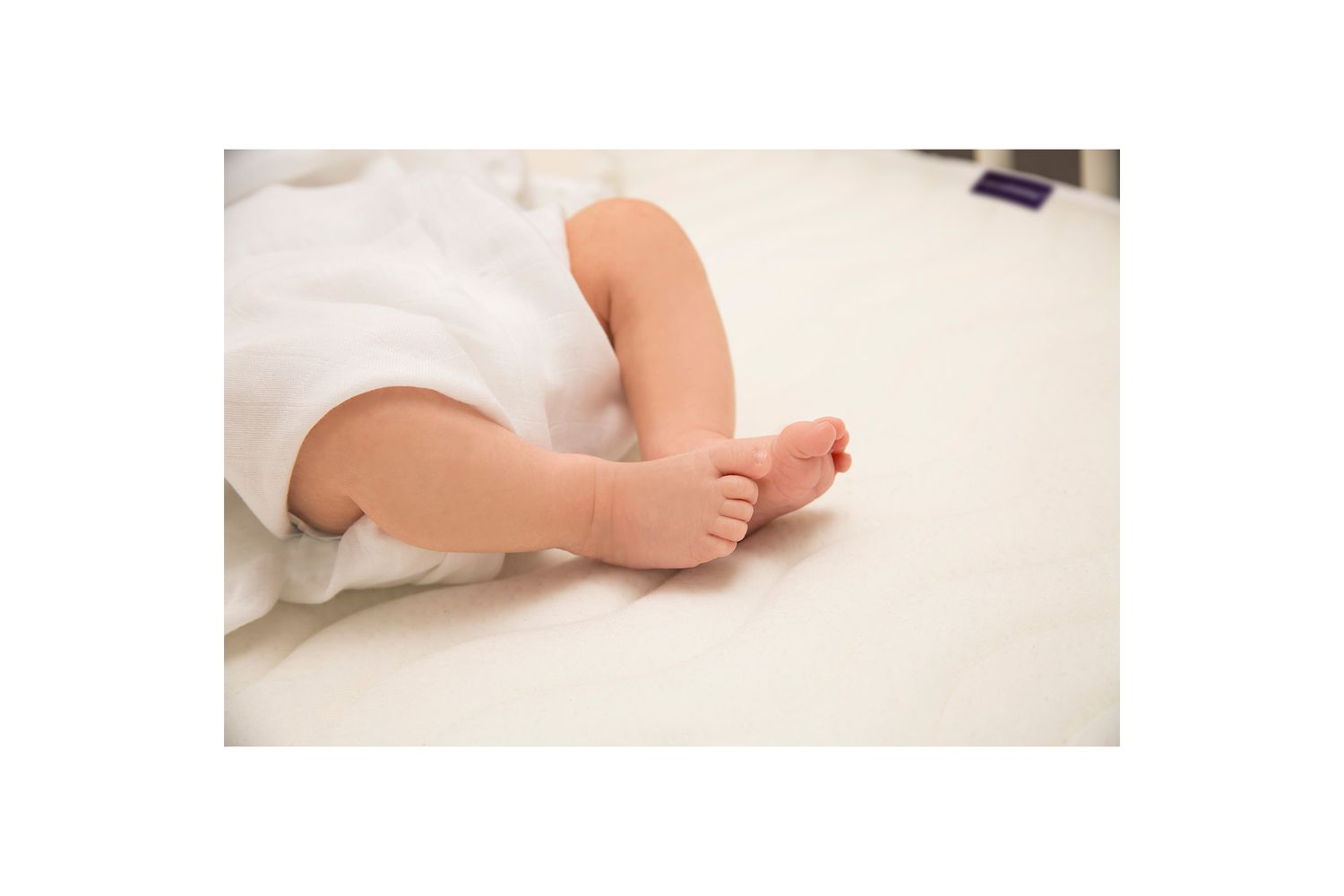Premium Deluxe Clevafoam Pocket Sprung Mattress - 60 X 120 X 12 Cm - Cot Size-8