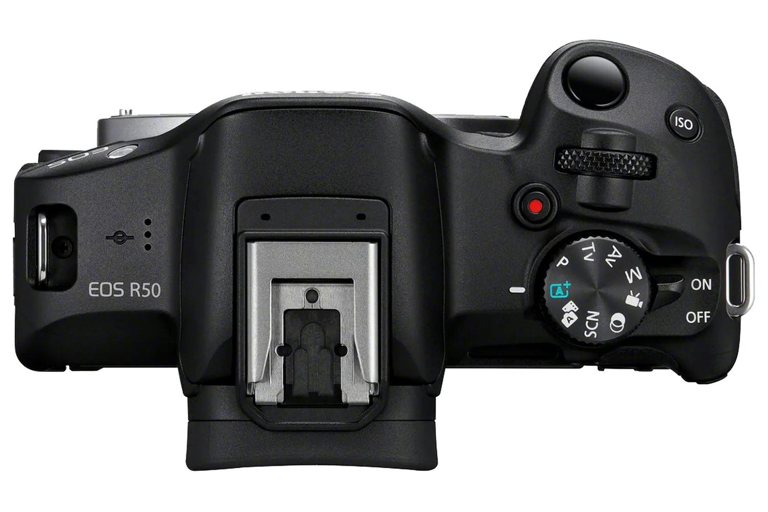 Canon EOS R50 RF-S 18-45mm & RF-S 55-210mm IS STM Lens Mirrorless Camera | Black-5