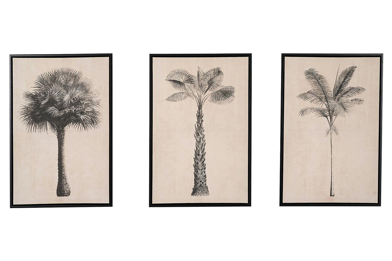 Palm Tree Print Canvases | Natural/Black | 40 x 60 cm | Set of 3