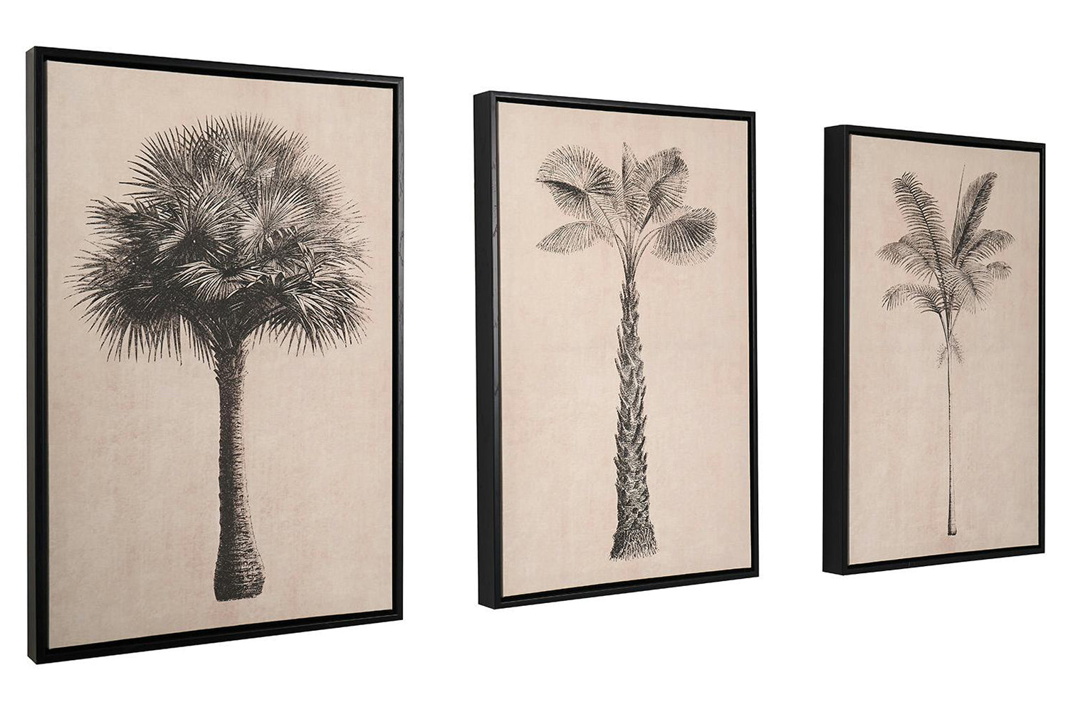 Palm Tree Print Canvases | Natural/Black | 40 x 60 cm | Set of 3-3