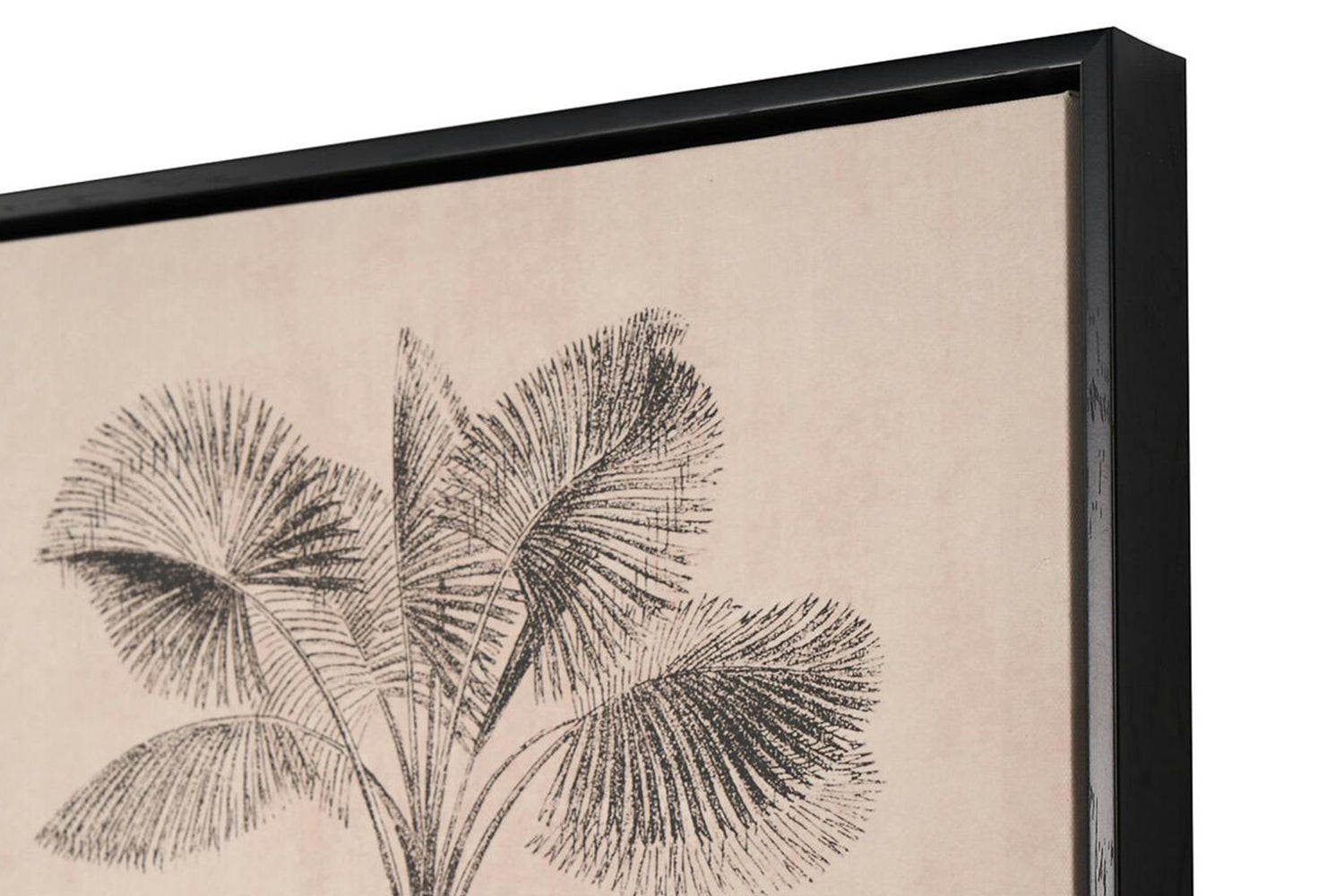 Palm Tree Print Canvases | Natural/Black | 40 x 60 cm | Set of 3-4