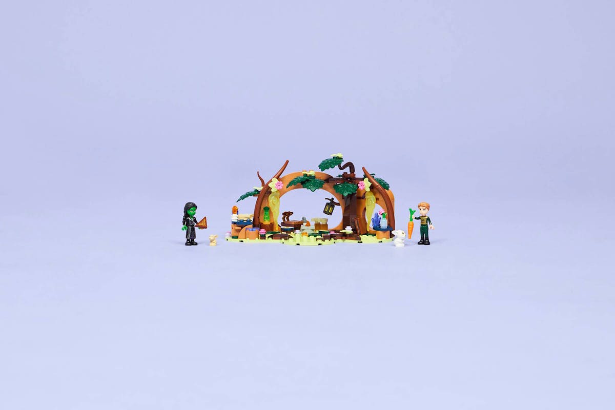 Lego Wicked Elphaba's Retreat Building Toys Set-9