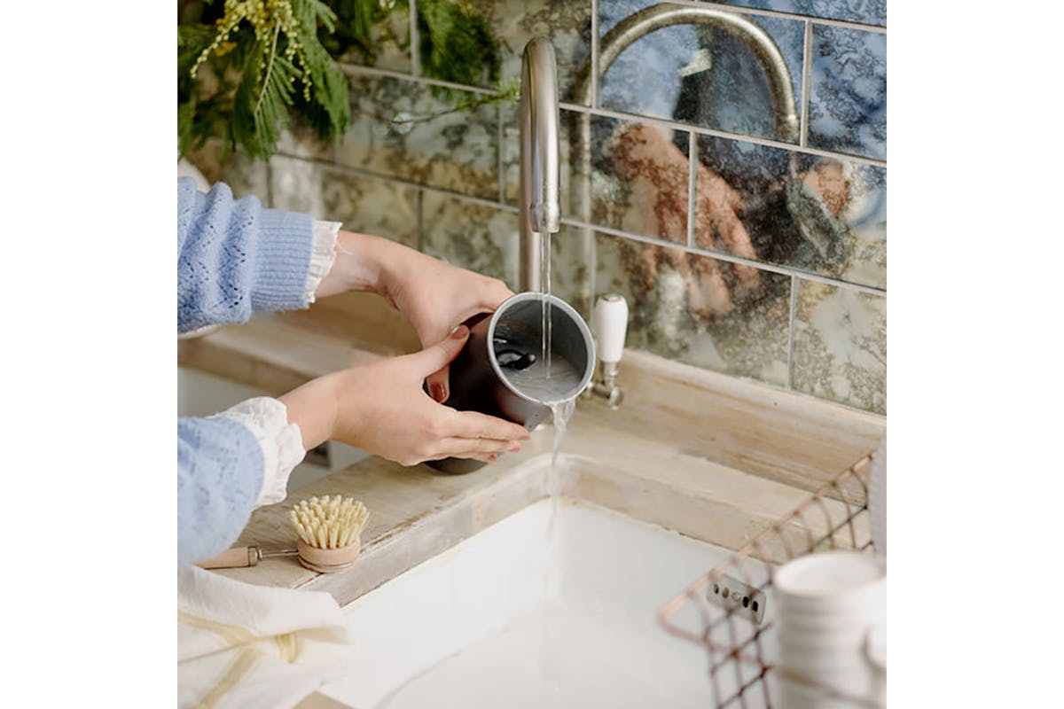 Dualit Handheld Milk Frother | Black-8