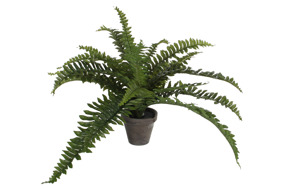 Artificial Boston Fern Green with Pot | 35 cm