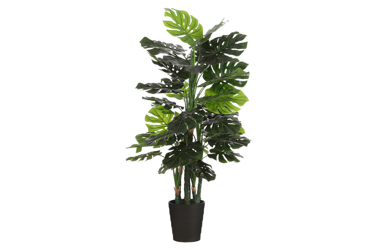 Artificial Monstera Green in Pot | 140 cm