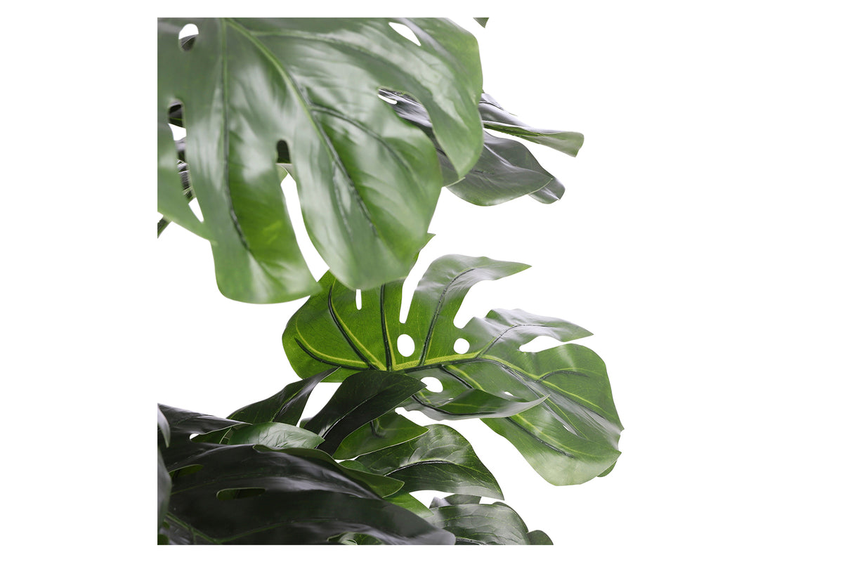 Artificial Monstera Green in Pot | 140 cm-8