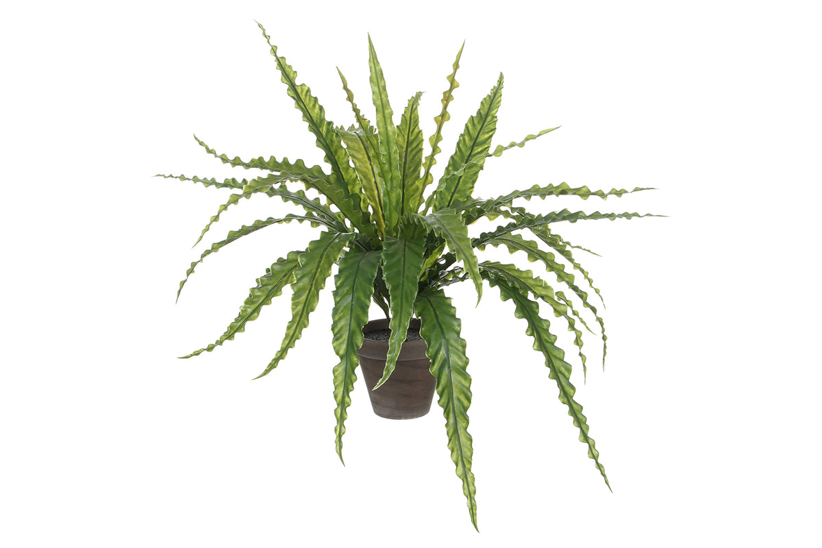 Artificial Asplenium Green in Pot | 54 cm-3