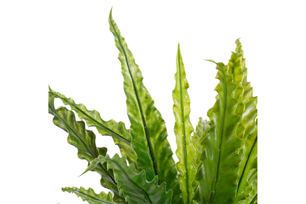 Artificial Asplenium Green in Pot | 54 cm-4