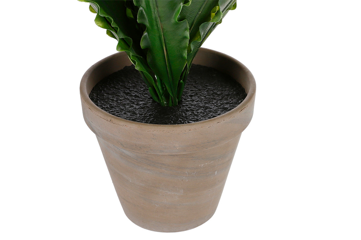 Artificial Asplenium Green in Pot | 54 cm-5