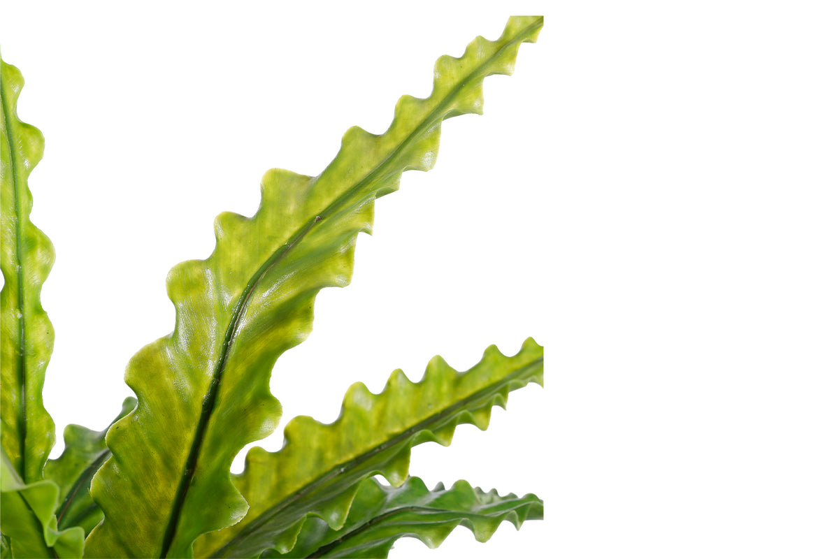 Artificial Asplenium Green in Pot | 54 cm-6