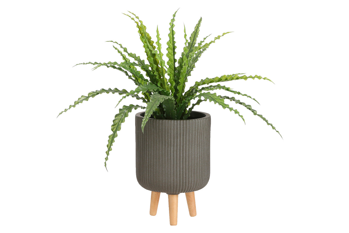 Artificial Asplenium Green in Pot | 54 cm-8