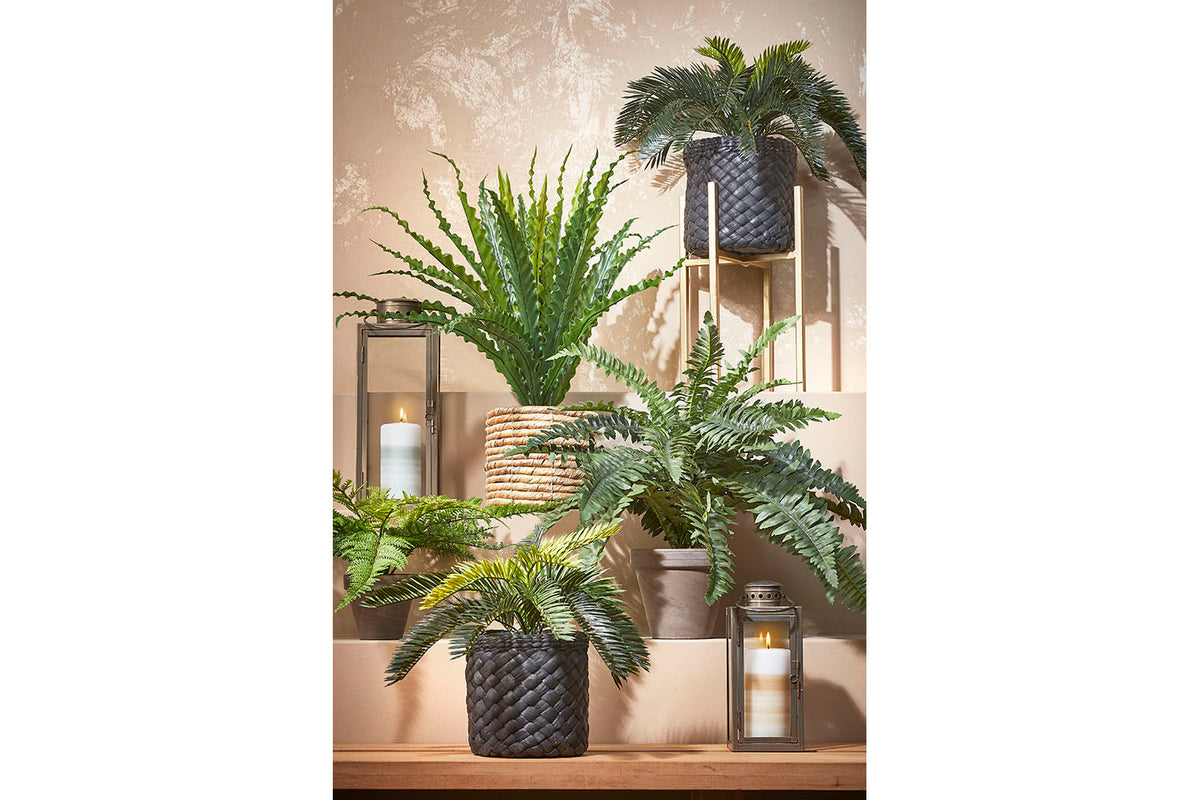 Artificial Asplenium Green in Pot | 54 cm-2
