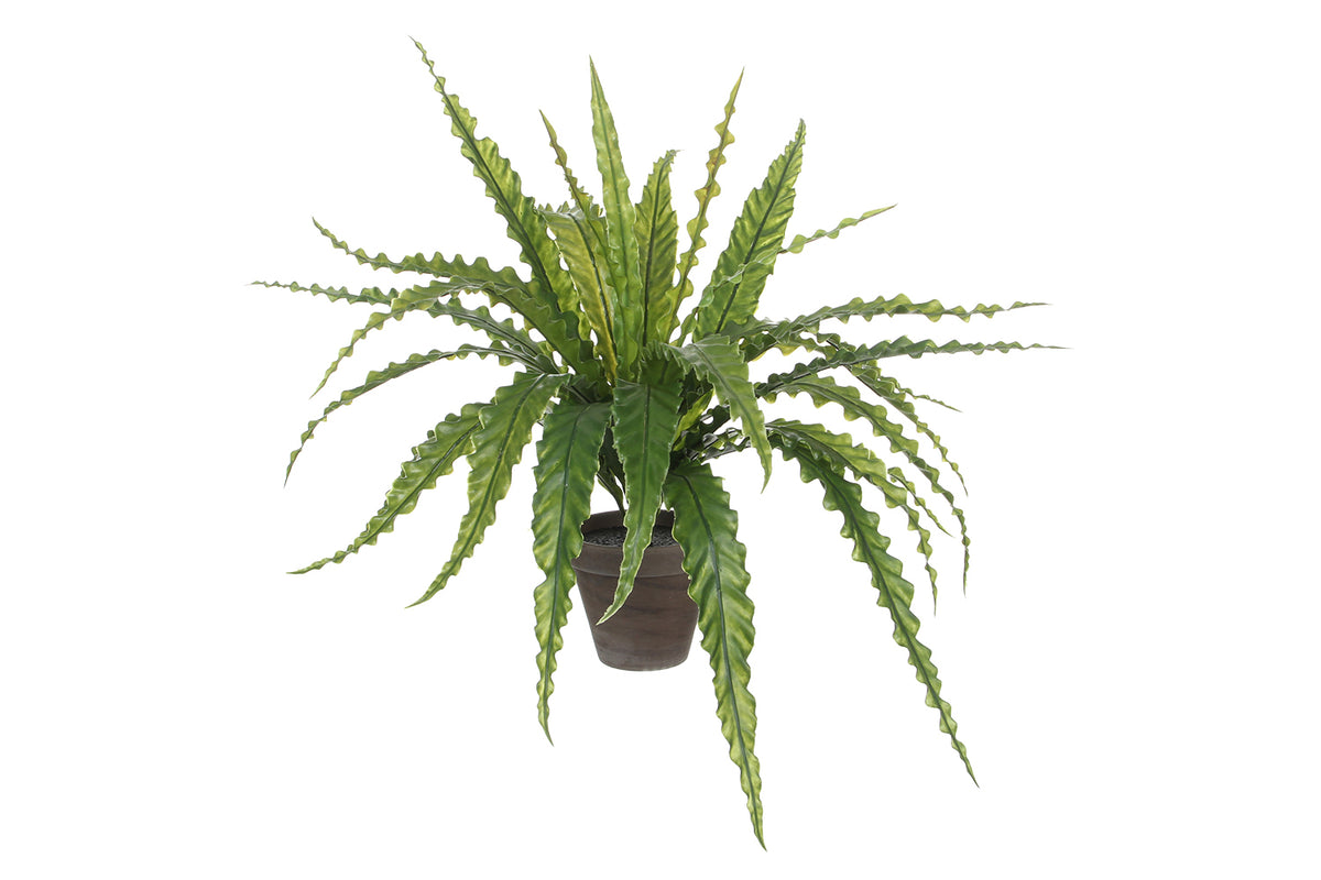 Artificial Asplenium Green in Pot | 54 cm