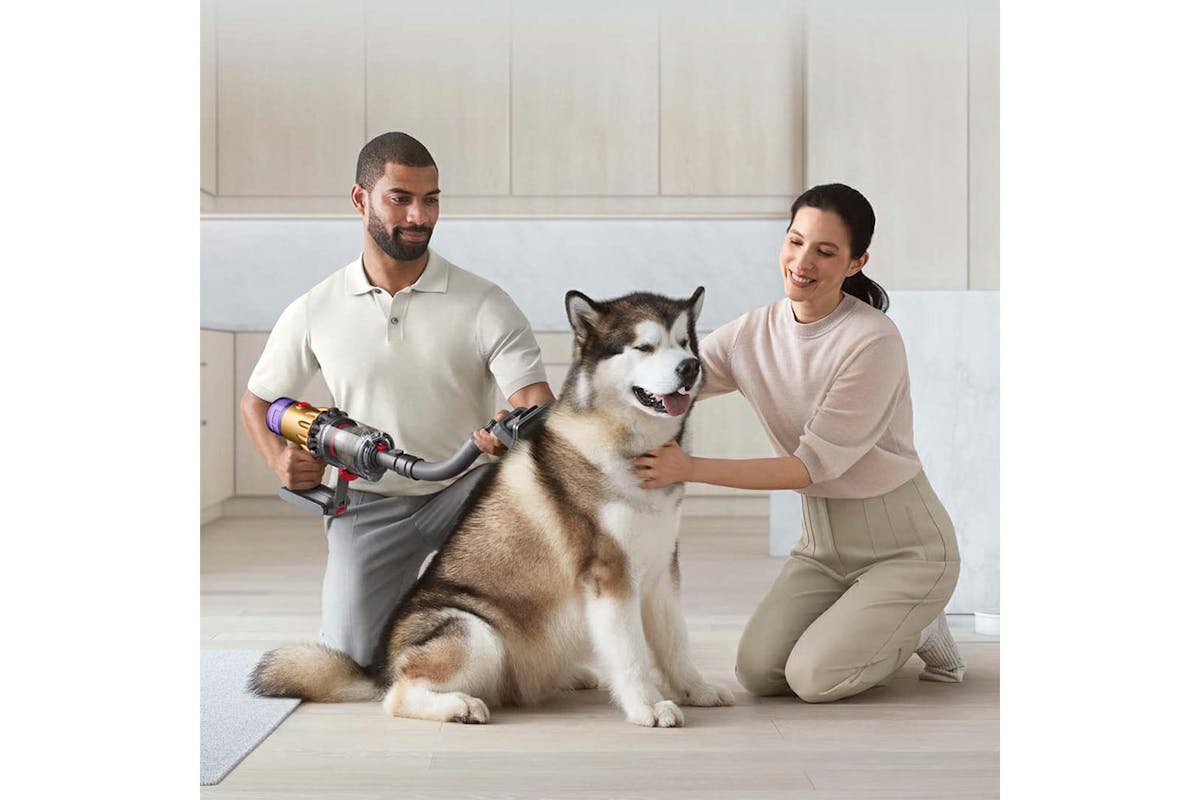 Dyson Pet Grooming Kit | 972205-01-2