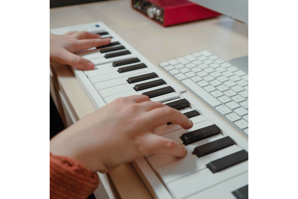 Carry-on 49 Key Folding Piano-6